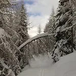 Sauschneideralm