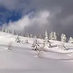 Sauschneideralm
