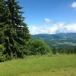 Sauschneideralm Gasthof