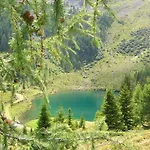 Gasthof Sauschneideralm 3*