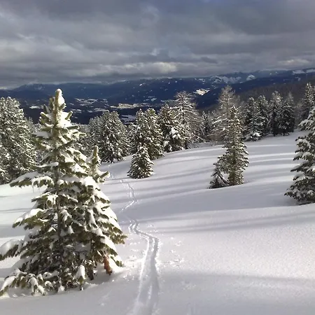 Sauschneideralm Faningberg