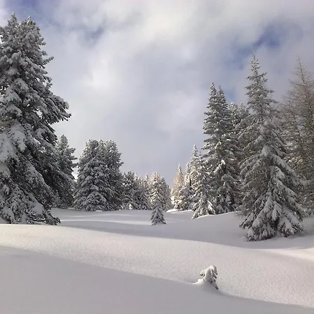 Sauschneideralm Faningberg