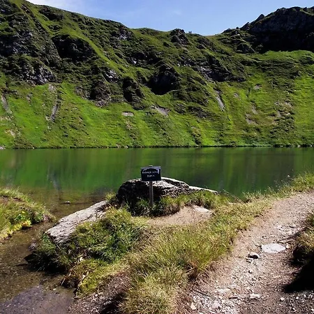 Sauschneideralm Faningberg