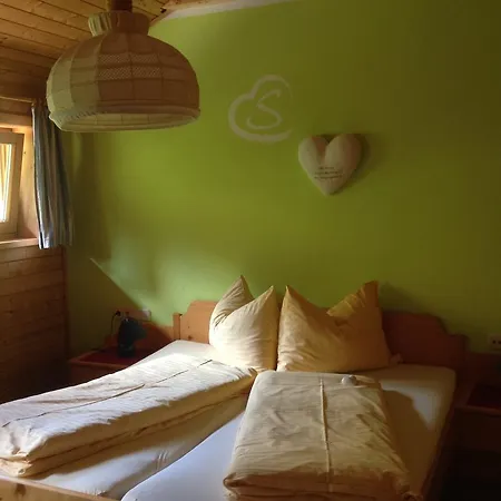 Sauschneideralm Penzion Faningberg