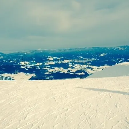 Sauschneideralm Gasthof