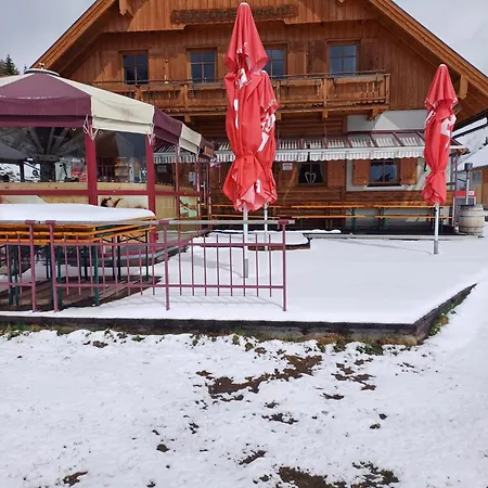 Sauschneideralm Gasthof Faningberg