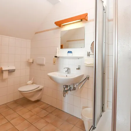 Sauschneideralm Faningberg