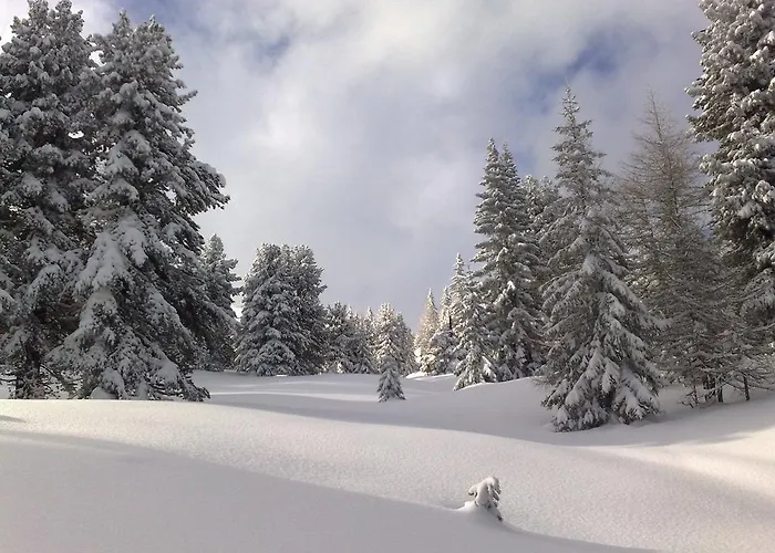 Sauschneideralm Faningberg