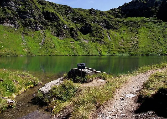 Sauschneideralm Faningberg