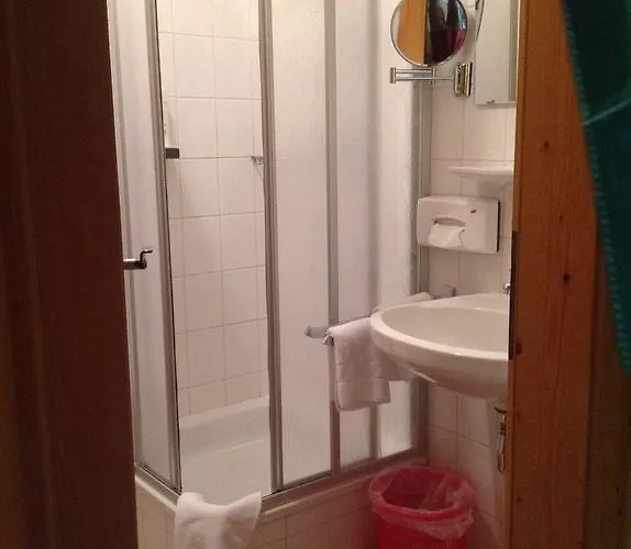 Sauschneideralm Faningberg