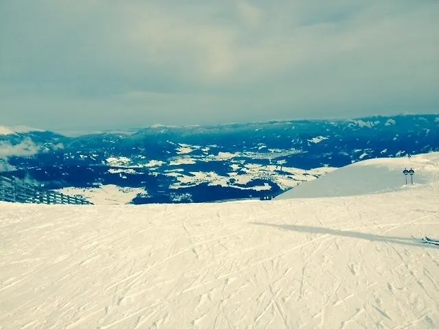 Sauschneideralm Guest house