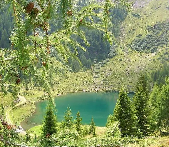 Guest house Sauschneideralm 3*