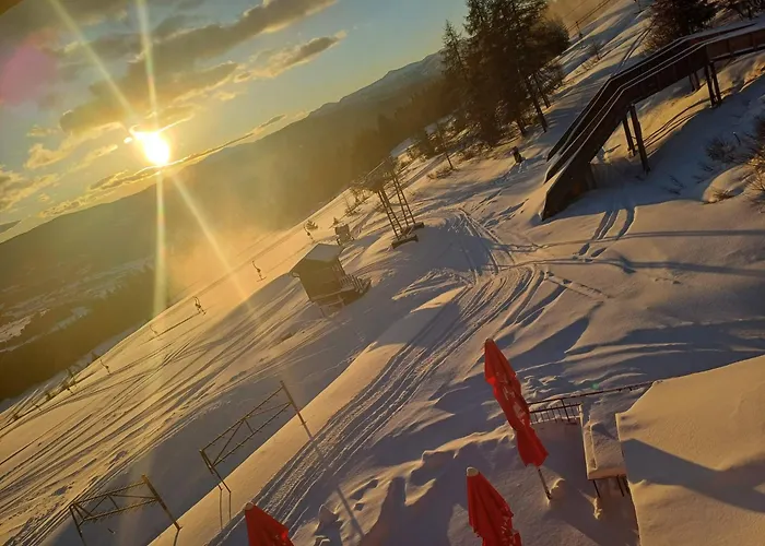 Sauschneideralm Faningberg