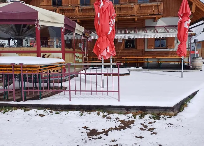 Sauschneideralm Guest house Faningberg