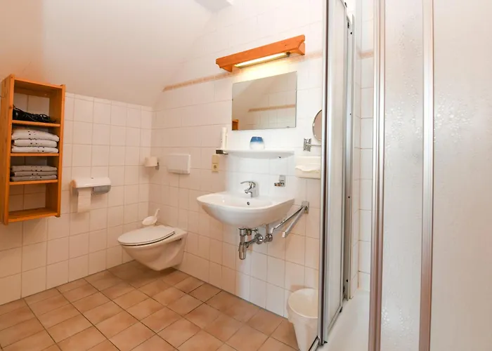 Sauschneideralm Faningberg