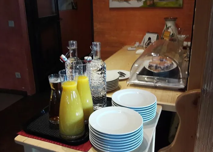 Sauschneideralm Guest house Faningberg